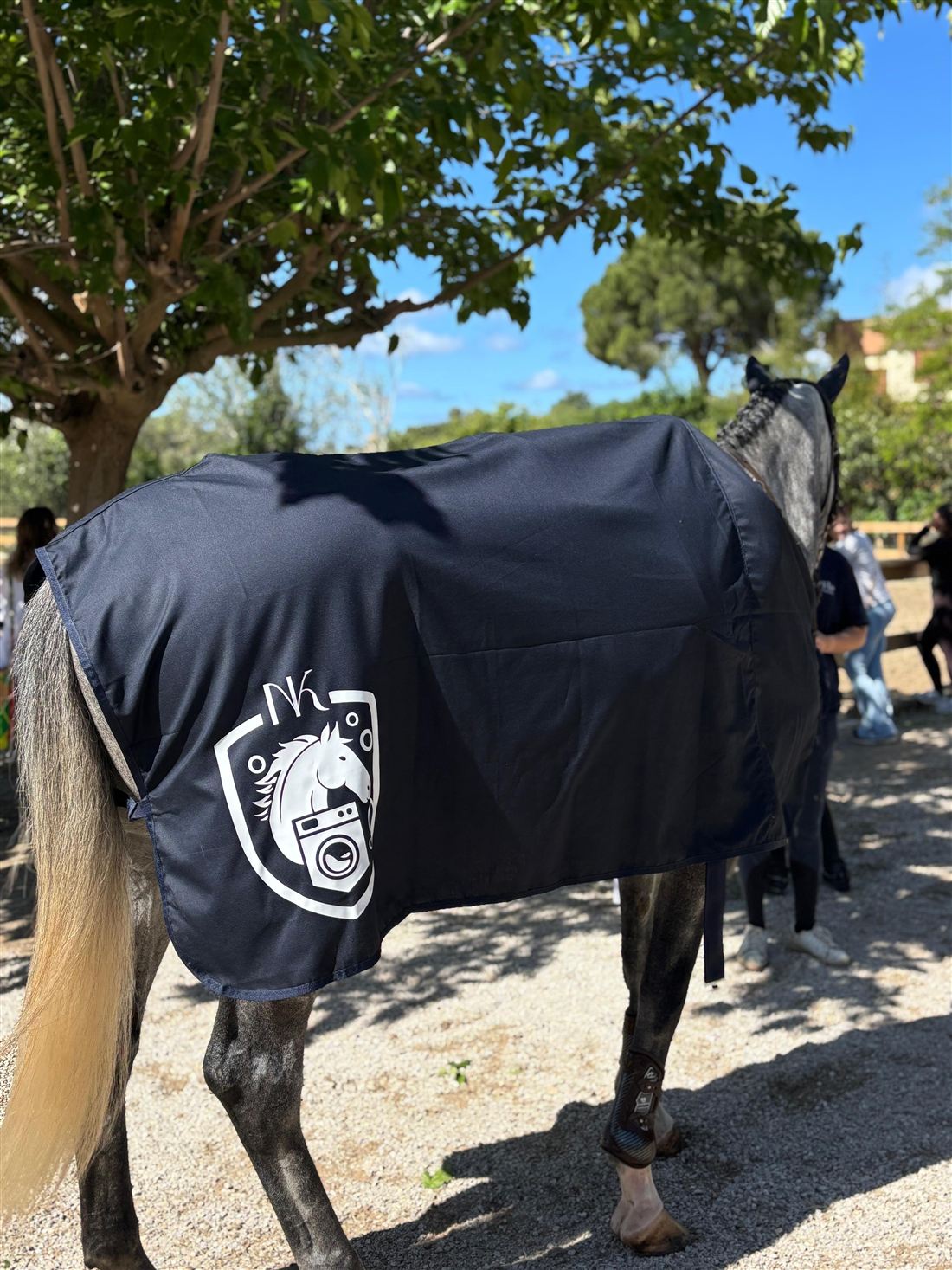 Caballo tordo con manta azul marino y el escudo de NK Horse Laundry